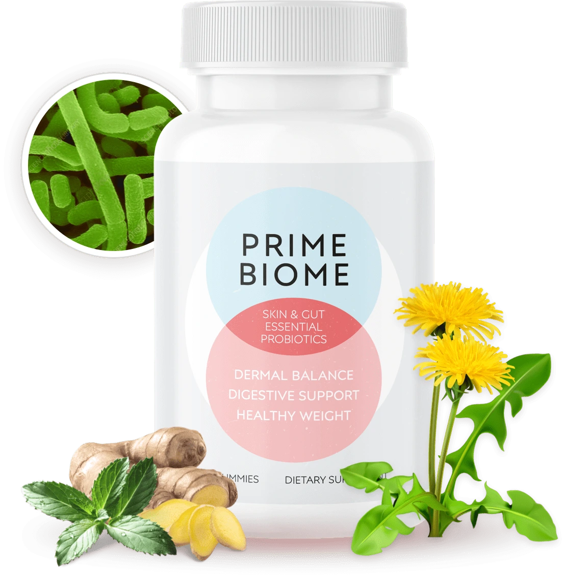 What is Prime Biome?
